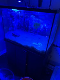 65g fish tank and stand