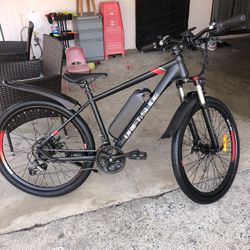 Electric Bike 