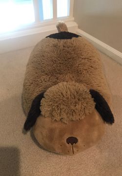 Pillow pet