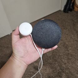 Google Nest Mini Gen 1