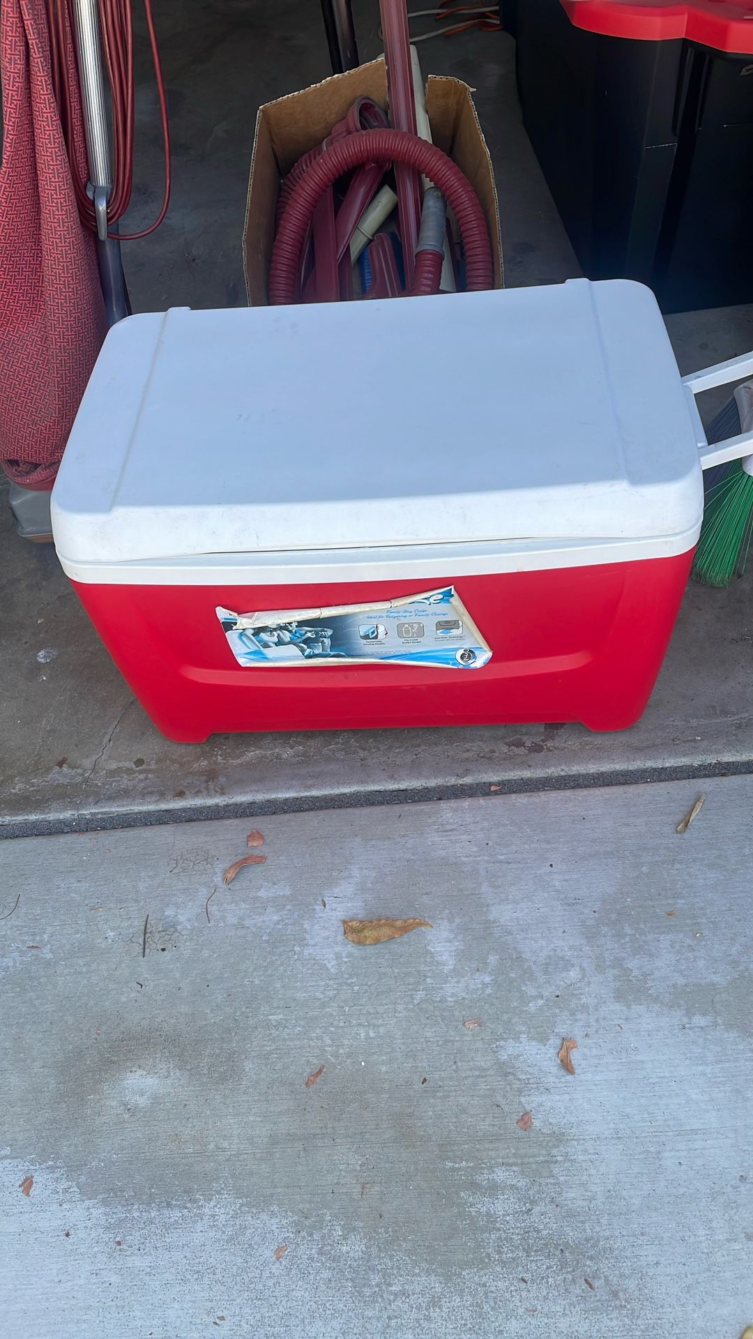 Igloo cooler medium sized