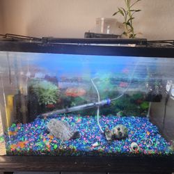 Fish Tank