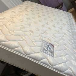 Free Sealy Posturepedic Queen Mattress 