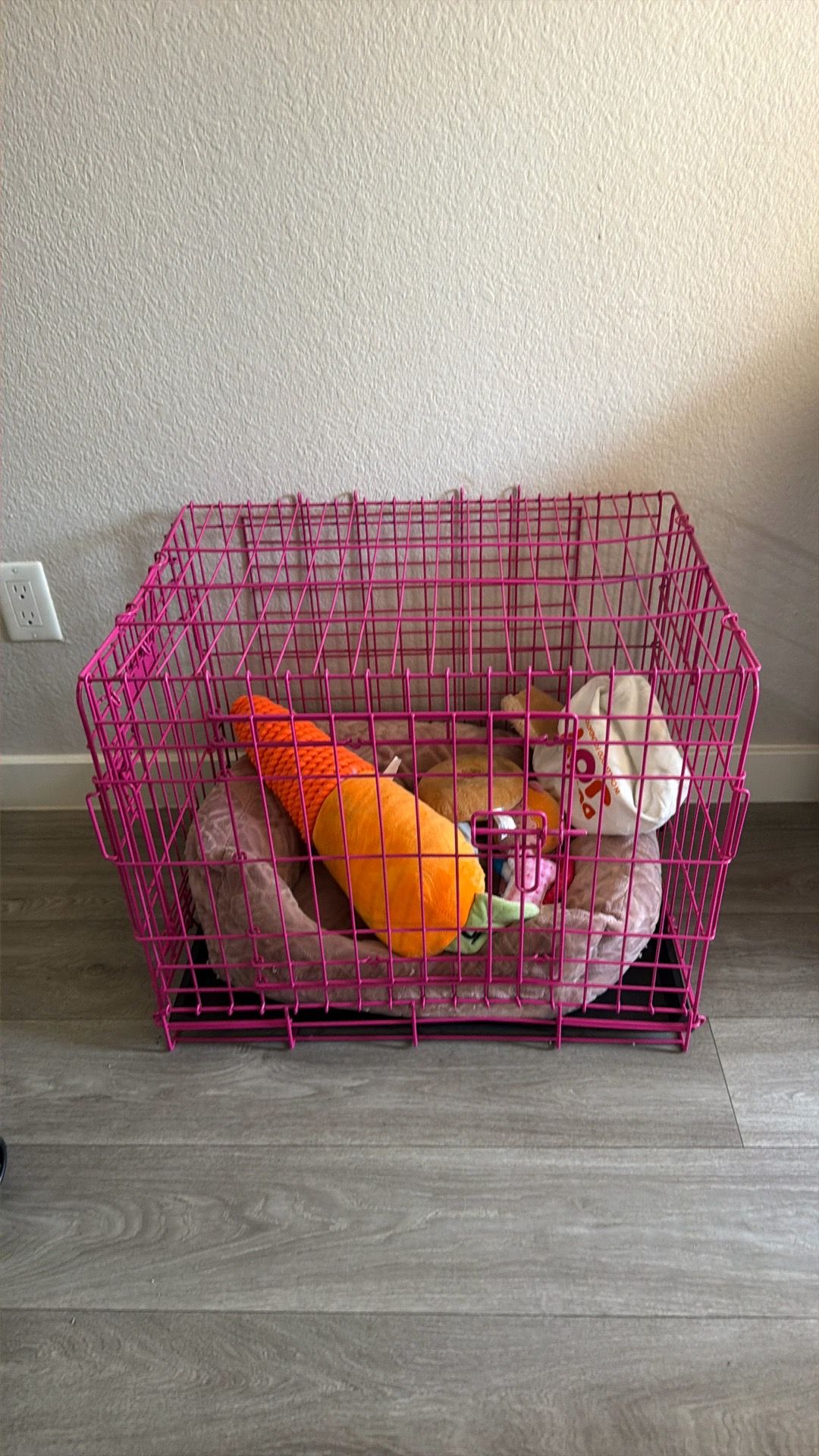 Dog kettle + toys