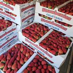Fresh Strawberries/ Fresas Frescas 