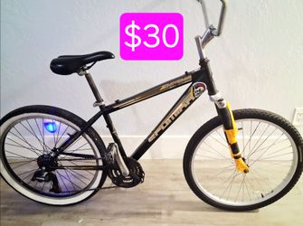Schwinn 24" bike