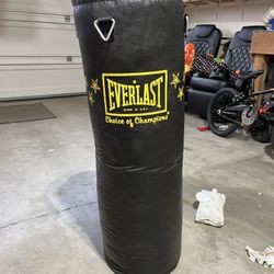 Everlast Punching Bag