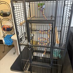 A&E CAGE COMPANY PALY TOP BIRD CAGE PLATINUM.