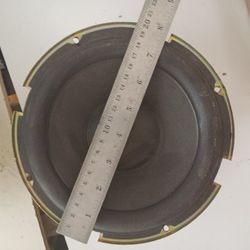 8" Subwoofer Speaker Dual 4Ω Voice Coil 2x 75w Raw Driver