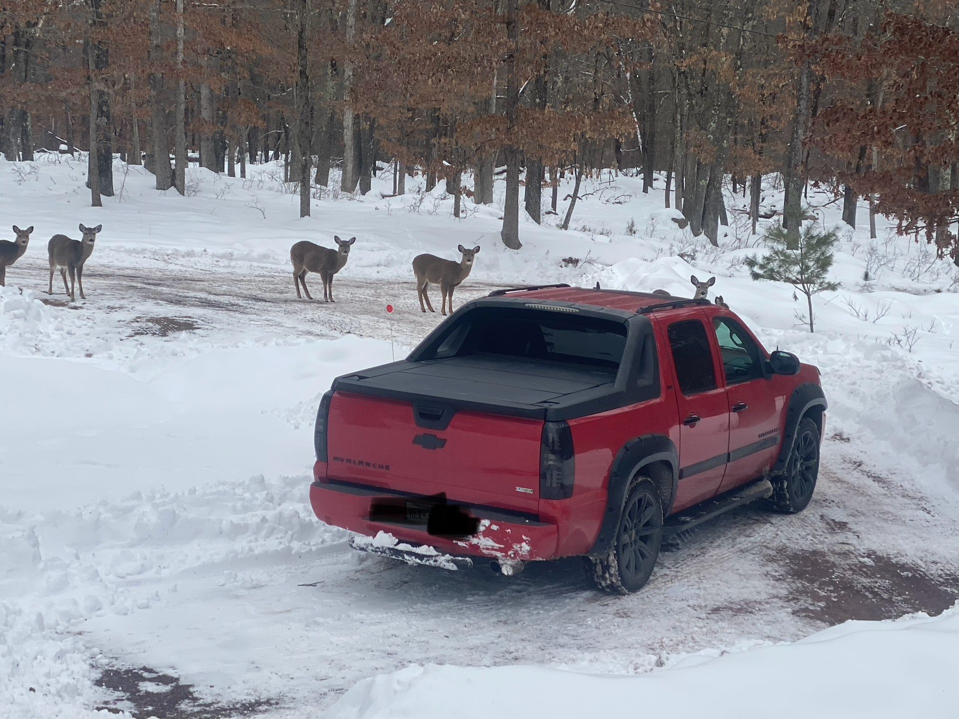 2007 Chevrolet Avalanche