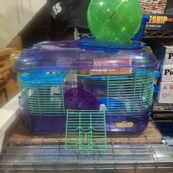 Hamster Cages 