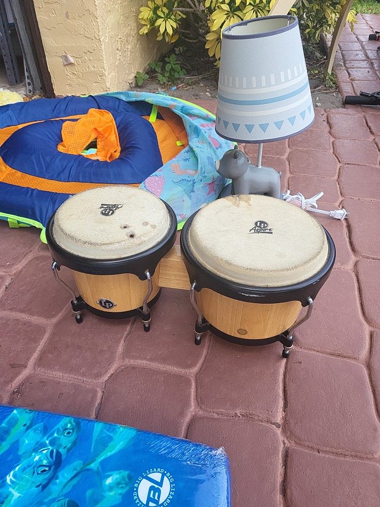 Bongo