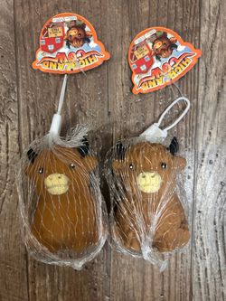 PPNC Highland Cow 🐮🤎