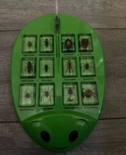 Lakeshore Real Bug Discovery Kit