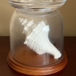 Sea Shell candle holder bath and body works
