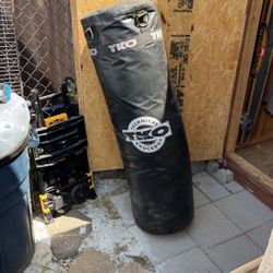 Punching Bag