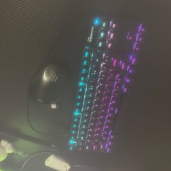Steel Series Apex TKL Pro with Logitech Pro Super Light Weight