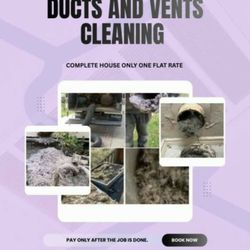 Professional Air Ducts Cleaning & Dust Free Home