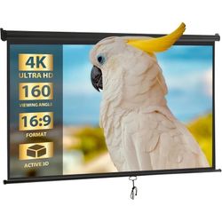 100 Inch 16:9 Pull Down Projector Screen, Black