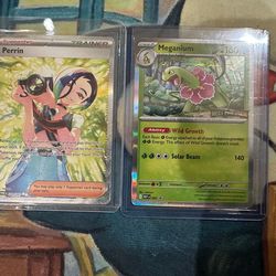 Pokémon Card TCG Mega Evolution Promo Cards And SIR special illustration Rare