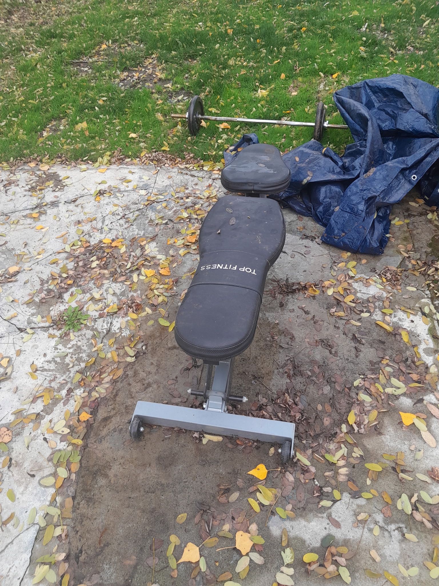 Free Weight Bench With Weights