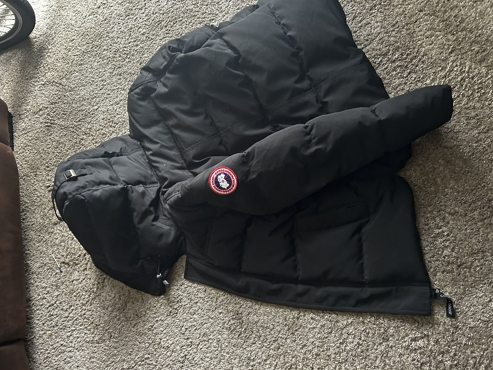 Size Small Canada Goose 