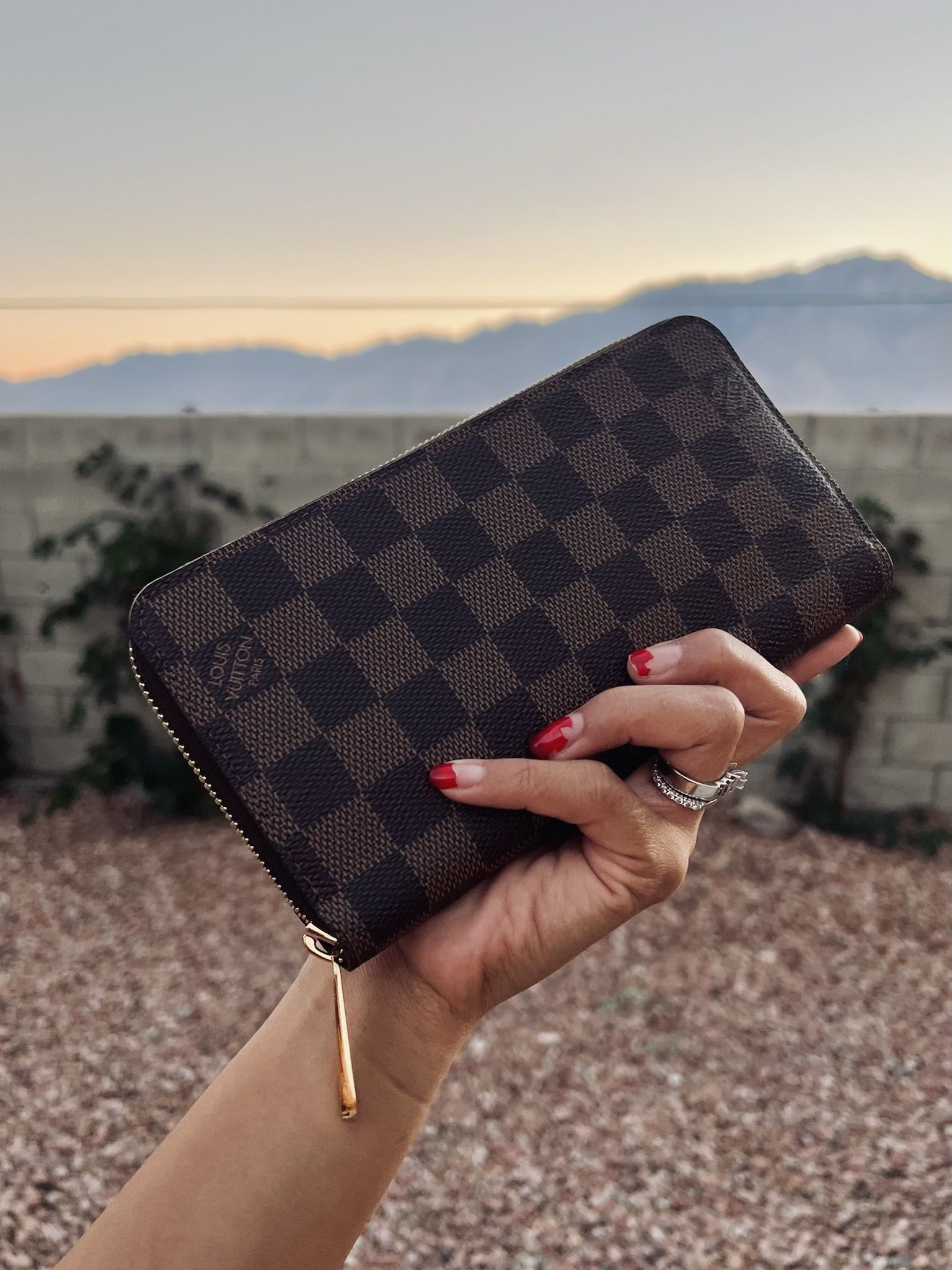 Louis Vuitton Zippy Wallet