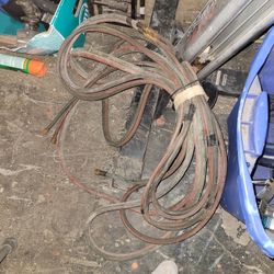 Wellington Hose $20