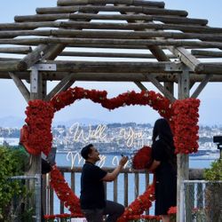 Wedding Decoration Rose Panels 