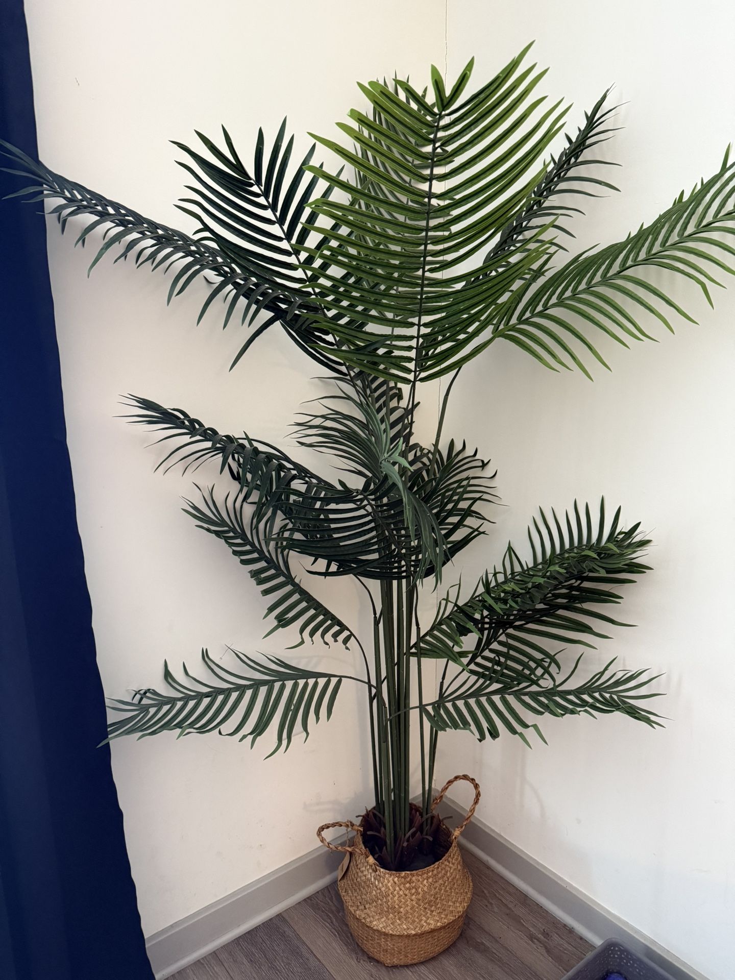 6 Ft. Tall Faux Palm Plant w/ Basket — $50