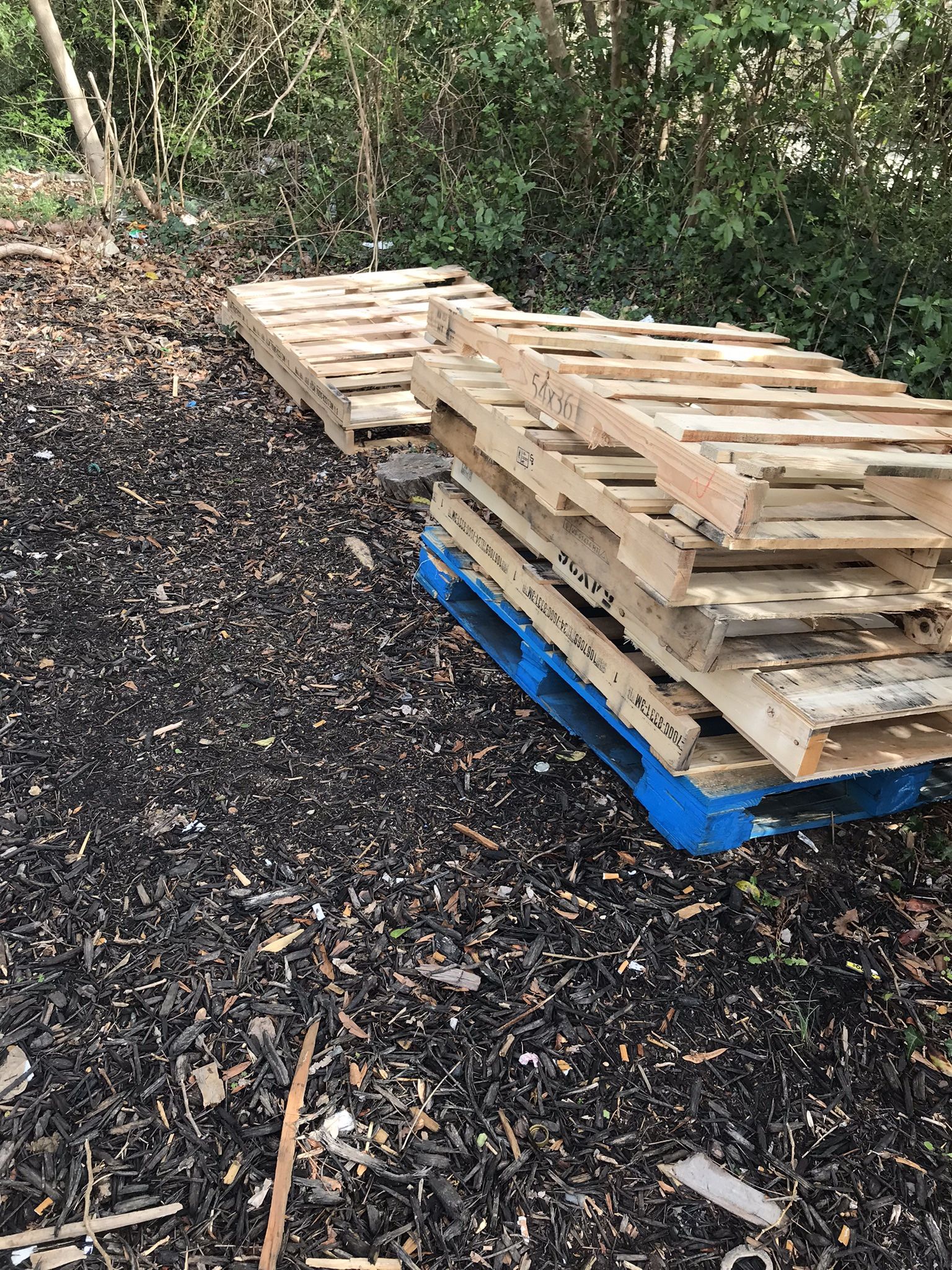 PALLETS 54 X 36