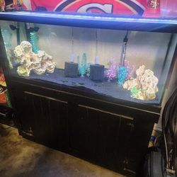 75 Gallon Aquarium/fish Tank 