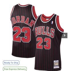 Jordan “ Rare Pinstripe “ Bulls Jersey Brand New XL