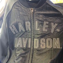 Harley Davidson 100th Anniversary  2003