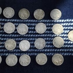 Old Buffalo Nickels