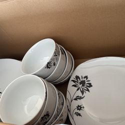 Dining plate Set (serves 8)