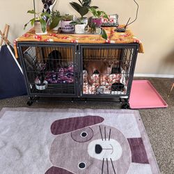 Large Double Dog Crate on Wheels – Two Doors, Divider, Furniture Top
