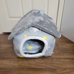 Cat and Small Dog House