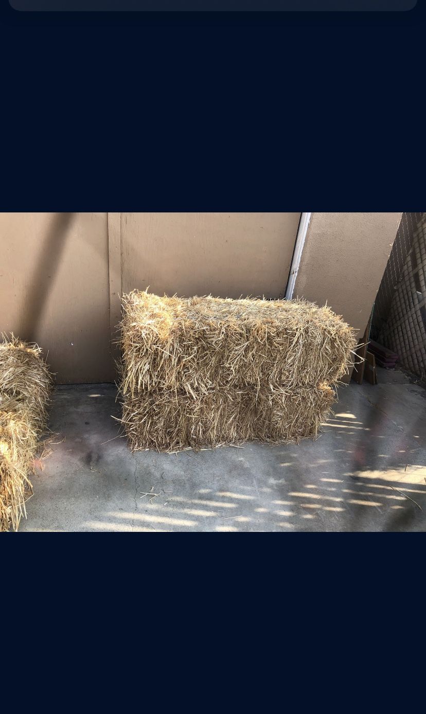 Hay Bail (straw)