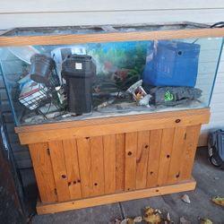 Fish Tank With Filter And Accessories 