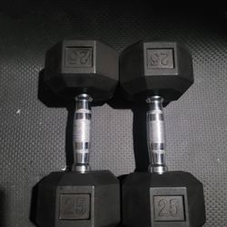 25lbs Dumbells Weights