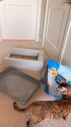 Pet safe scoop free litter box