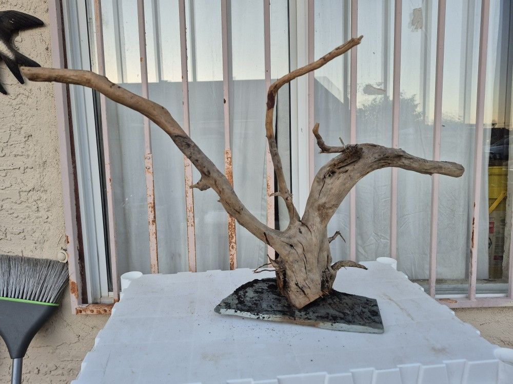 Spiderwood for Fishtanks