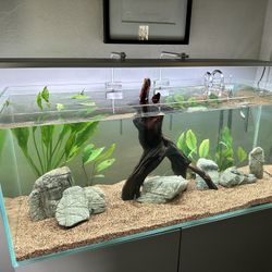 WATER BOX 75 Gallon Clear Must Sell.. Best Offer