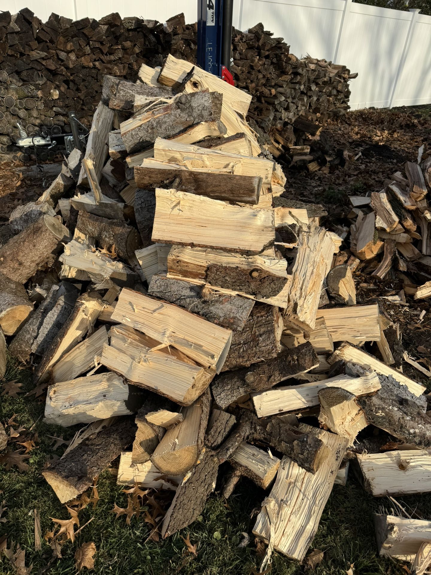 Dry Pine Firewood