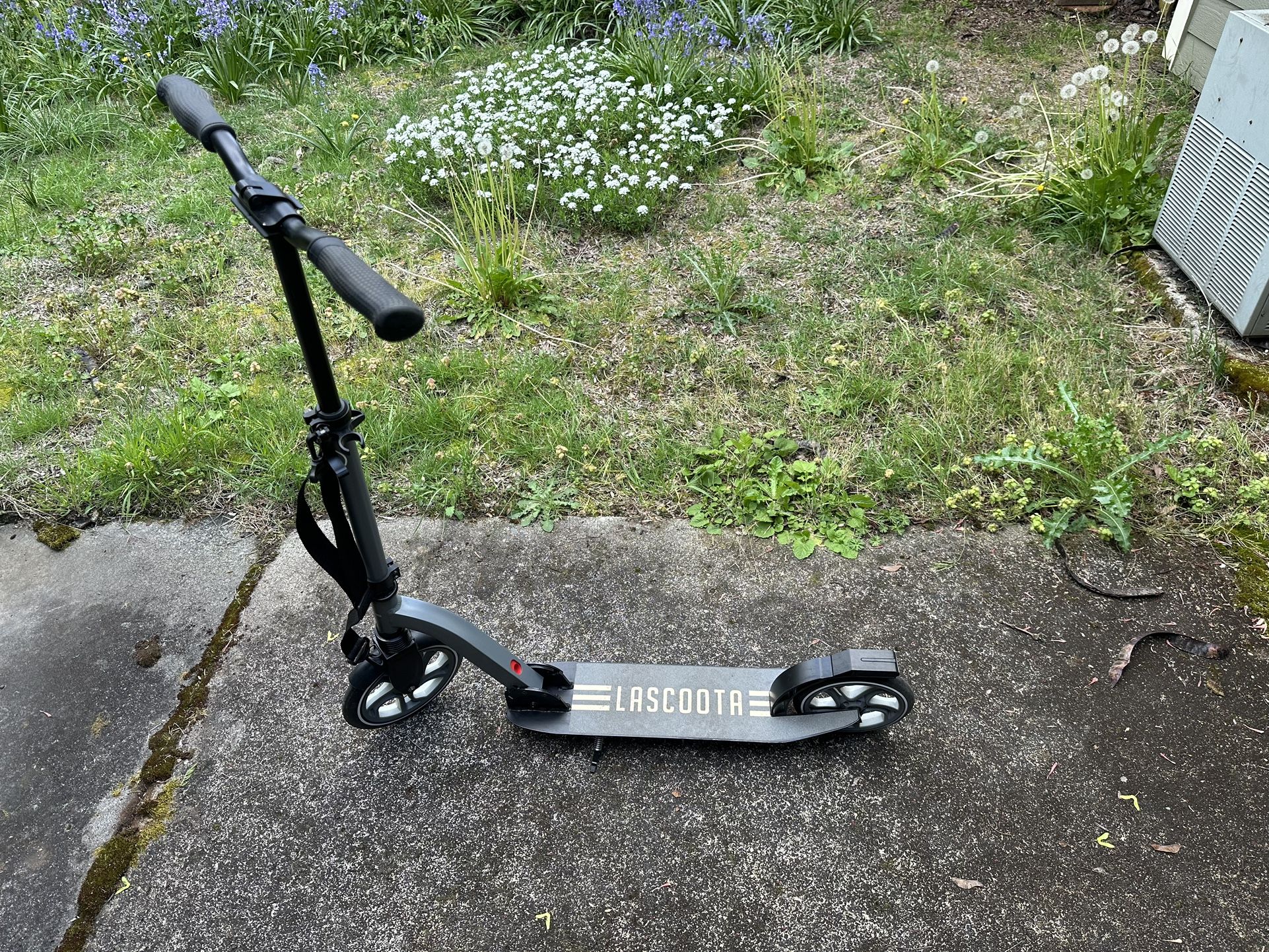 LaScoota Scooter Dark - Adult Size