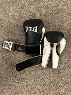 Everlast 14oz Boxing Gloves