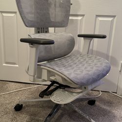 Ergolover ergonomic chair El1 