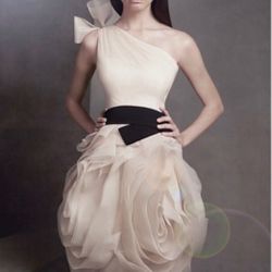 Vera Wang Bubble Dress