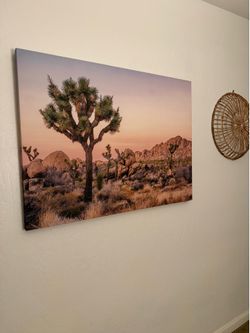 Joshua Tree Canvas Art